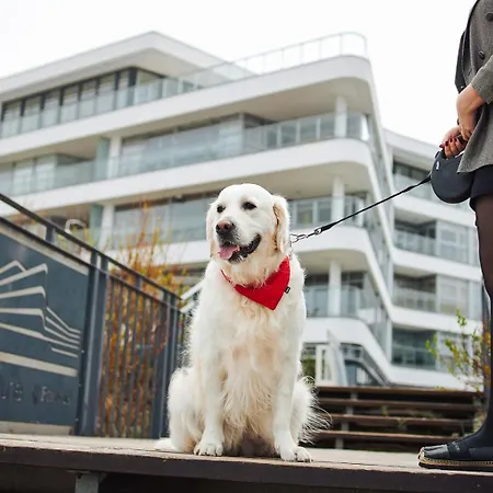 Aparthotel Dune - C 4*