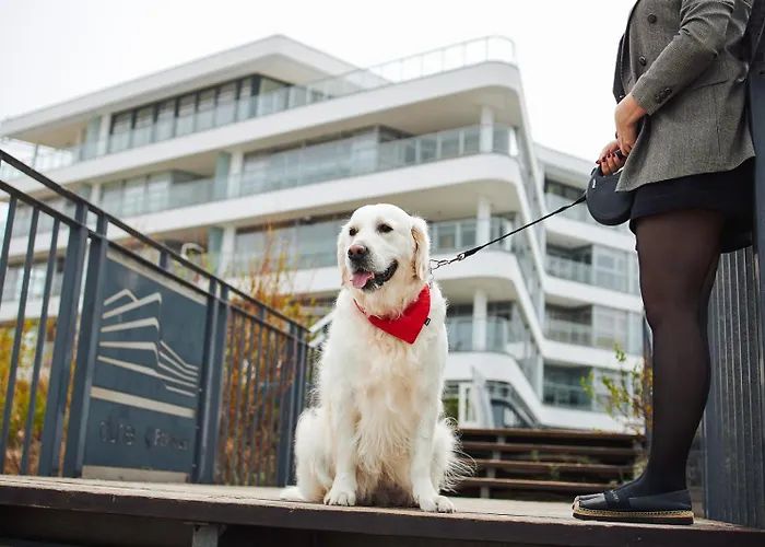 Апарт-отель Dune - C 4*